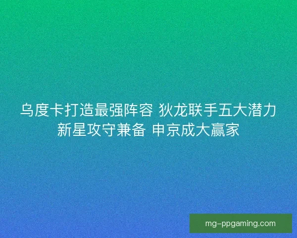 乌度卡打造最强阵容 狄龙联手五大潜力新星攻守兼备 申京成大赢家